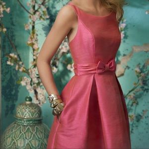 Alvina Valenta dress with pockets!